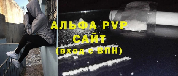 шишки Алексин