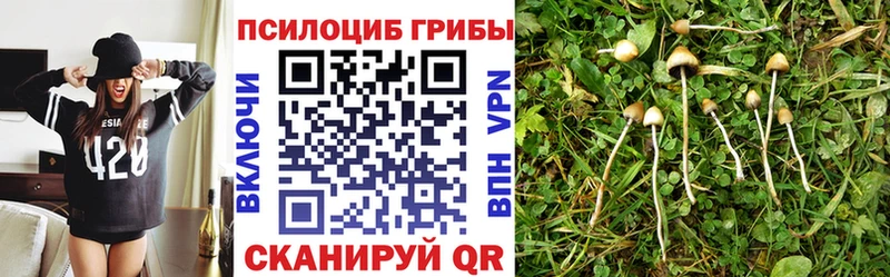 Галлюциногенные грибы Psilocybine cubensis  Ардатов 